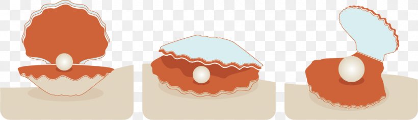 Seashell Download Euclidean Vector, PNG, 1060x304px, Seashell, Food, Orange, Peach, Pearl Download Free