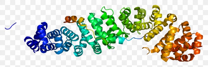 TCF/LEF Family TCF7L2 Beta-catenin Transcription Factor Wnt Signaling Pathway, PNG, 1053x343px, Betacatenin, Catenin, Gene, Logo, Organism Download Free