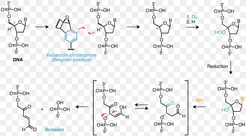 DNA Damage DNA Repair Enediyne Radical, PNG, 2934x1628px, Dna, Area, Biosynthesis, Calicheamicin, Chemical Reaction Download Free