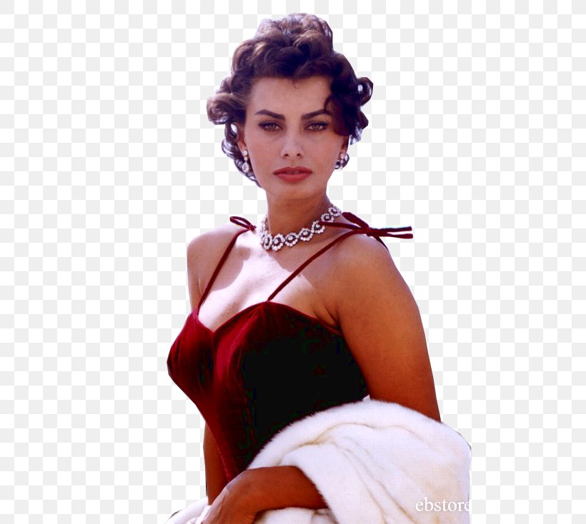 Sophia Loren Actor France Autograph, PNG, 582x734px, Watercolor, Cartoon, Flower, Frame, Heart Download Free