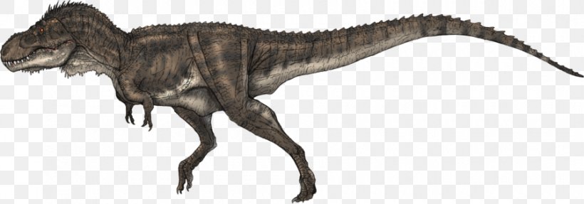 Tyrannosaurus Carcharodontosaurus Allosaurus Giganotosaurus Spinosaurus, PNG, 900x316px, Tyrannosaurus, Aerosteon, Allosauroidea, Allosaurus, Animal Figure Download Free