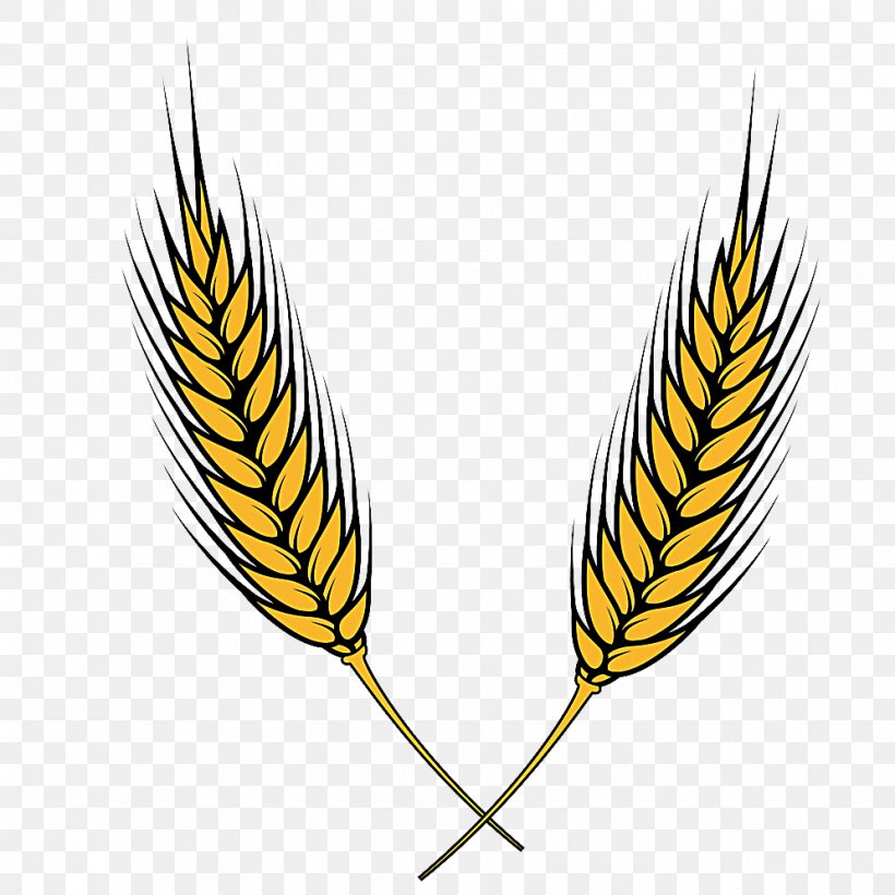 Wheat Ear Clip Art, PNG, 994x994px, Wheat, Beak, Commodity, Ear, Feather Download Free