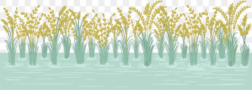 0 Euclidean Vector Paddy Field Wall, PNG, 2801x1000px, Paddy Field, Field, Flat Design, Grass, Grass Family Download Free