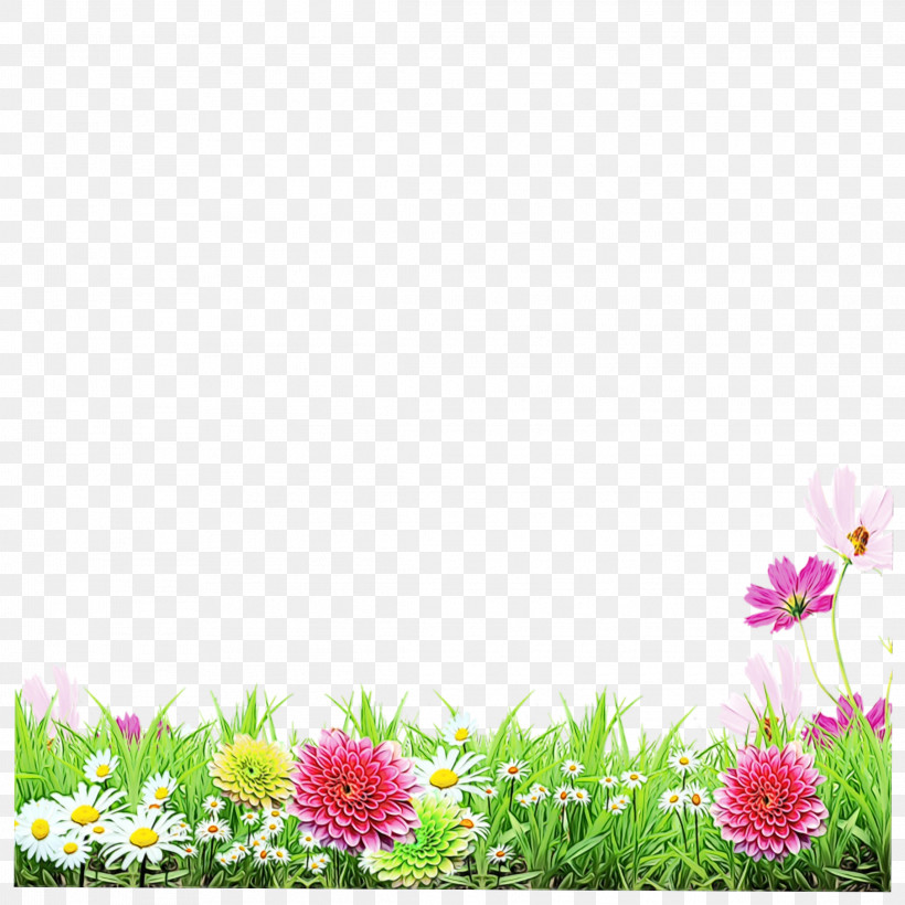 Flower Plant Gerbera Petal Wildflower, PNG, 2289x2289px, Watercolor, Flower, Gerbera, Grass, Meadow Download Free