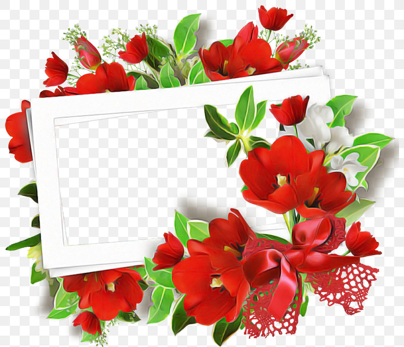 Flower Red Plant Cut Flowers Petal, PNG, 800x703px, Flower, Bouquet, Cut Flowers, Petal, Plant Download Free