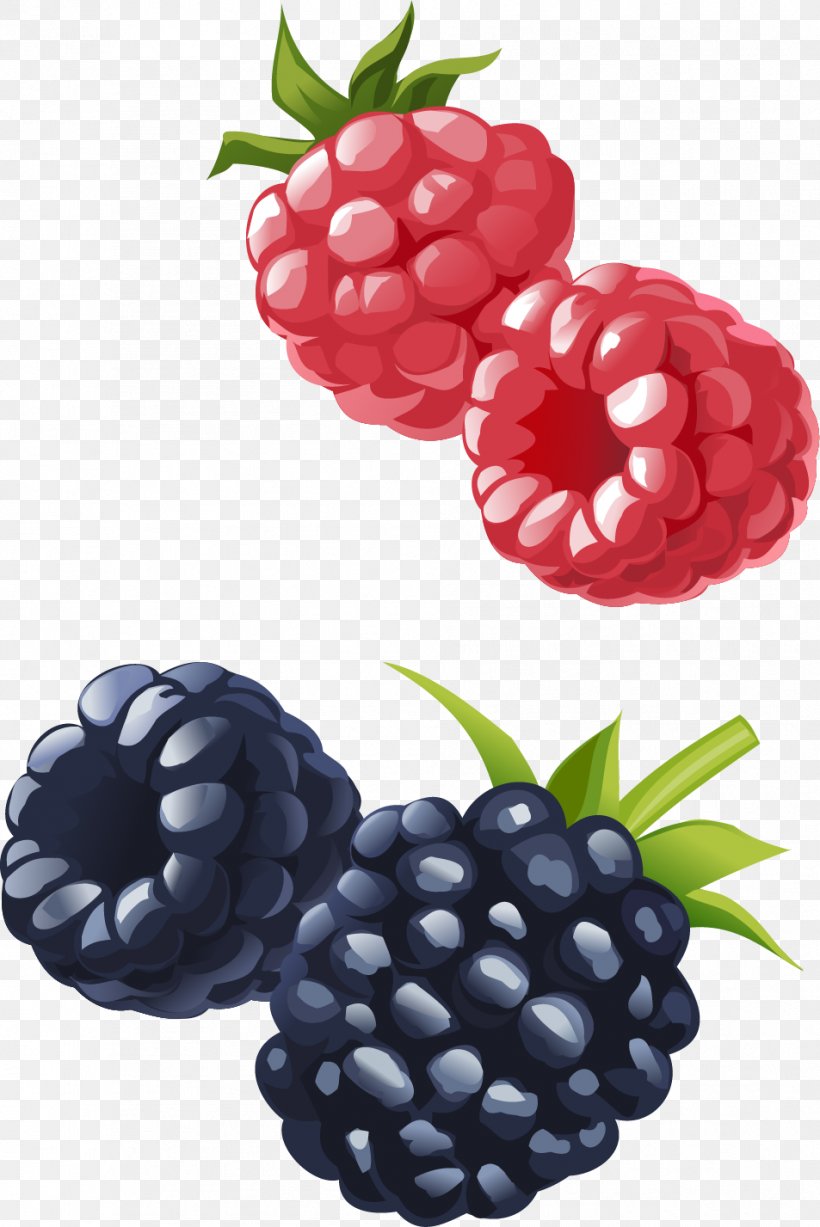 Frutti Di Bosco Boysenberry Raspberry Blueberry Fruit, PNG, 953x1427px, Frutti Di Bosco, Berry, Blackberry, Blueberry, Boysenberry Download Free