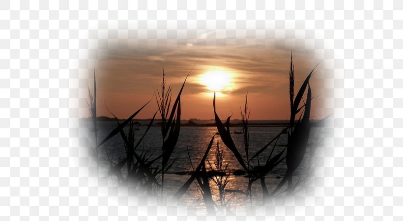 Sunset Sunrise Astre Desktop Wallpaper Reed, PNG, 600x450px, Sunset, Astre, Blaise Pascal, Calm, Definition Download Free