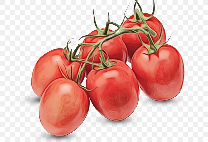 Tomato, PNG, 800x560px, Watercolor, Bush Tomato, Food, Fruit, Local Food Download Free