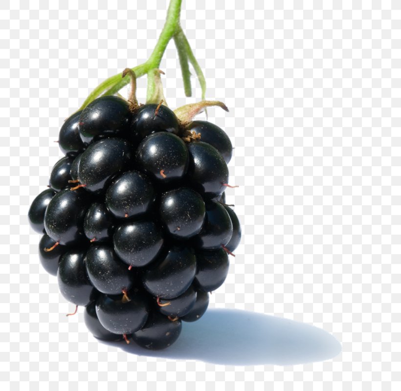 Blackberry Pie Fruit Berries Clip Art, PNG, 745x800px, Blackberry Pie, Accessory Fruit, Berries, Berry, Black Mulberry Download Free