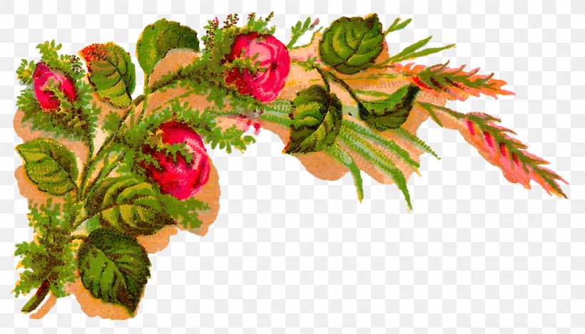 Flower Rose Clip Art, PNG, 1499x859px, Flower, Antique, Branch, Christmas Ornament, Conifer Download Free