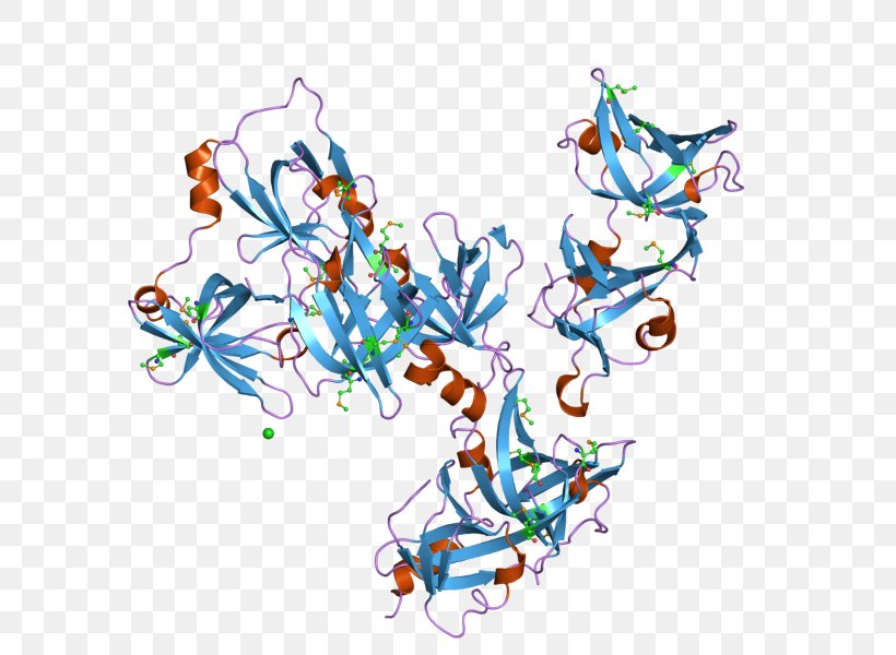 Interferon IFI16 Structural Classification Of Proteins Database CATH Database, PNG, 800x600px, Watercolor, Cartoon, Flower, Frame, Heart Download Free