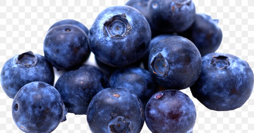 Blueberry Fruit Cheesecake Flavor, PNG, 1200x630px, Blueberry, Antioxidant, Berry, Bilberry, Charlotte Download Free