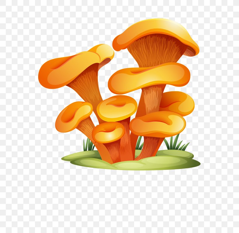Glomeromycota Mushroom Clip Art, PNG, 800x800px, Glomeromycota, Amanita Muscaria, Basidiomycota, Cryptococcus, Food Download Free