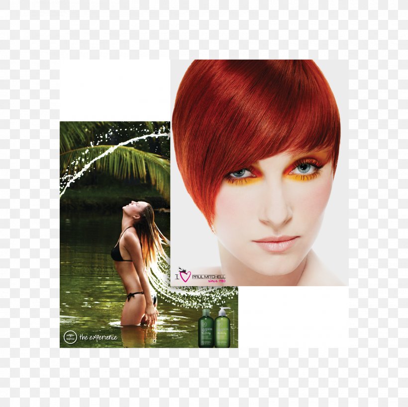 Red Hair Paul Mitchell Hair Coloring Salon LeChene Capelli, PNG, 1600x1600px, Red Hair, Bangs, Beauty Parlour, Black Hair, Blond Download Free