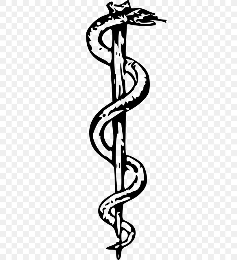 Rod Of Asclepius Medicine Staff Of Hermes Apollo, PNG, 480x900px, Rod Of Asclepius, Apollo, Arm, Art, Artwork Download Free