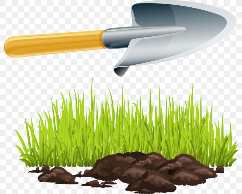 Shovel Backhoe Clip Art, PNG, 800x657px, Shovel, Backhoe, Garden Tool, Gardening, Grass Download Free
