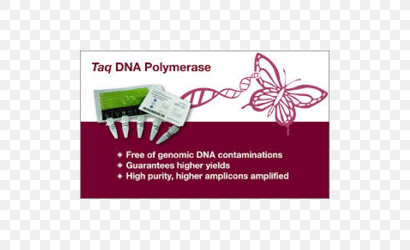 Taq Polymerase DNA Polymerase Nucleic Acid, PNG, 500x500px, Taq Polymerase, Biology, Dna, Dna Polymerase, Enzyme Download Free