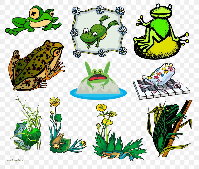 Toad Tree Frog True Frog Clip Art, PNG, 2609x2217px, Toad, Amphibian, Animal Figure, Artwork, Fauna Download Free