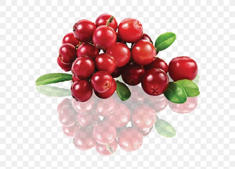 Berries Juice Lingonberry Extract Cranberry, PNG, 588x588px, Berries, Aloe Vera, Arctostaphylos, Arctostaphylos Uvaursi, Berry Download Free