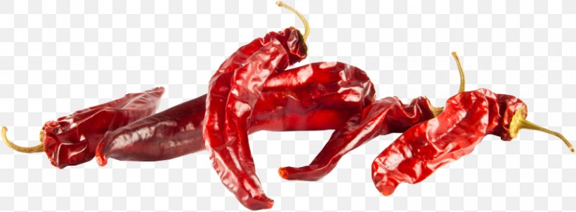 Chile De árbol Cayenne Pepper Chili Pepper Biber Chili Con Carne, PNG, 843x311px, Cayenne Pepper, Auglis, Bell Peppers And Chili Peppers, Biber, Blood Download Free