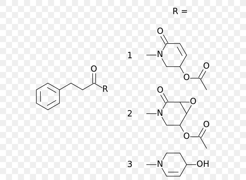 Kava Pyridine Alkaloids Pipermethystine Plant, PNG, 637x600px, Kava, Alkaloid, Area, Auto Part, Black And White Download Free