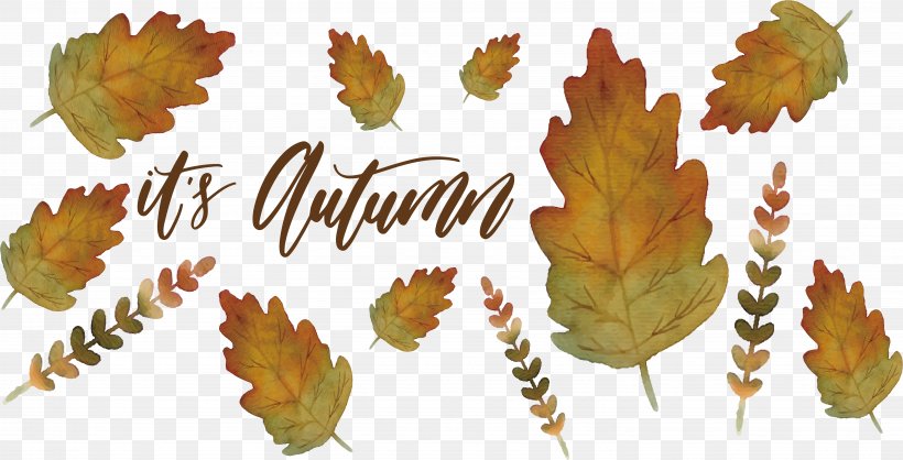 Leaf Watercolor Painting Euclidean Vector, PNG, 5881x3000px, Leaf, Autumn, Deciduous, Paint, Painting Download Free