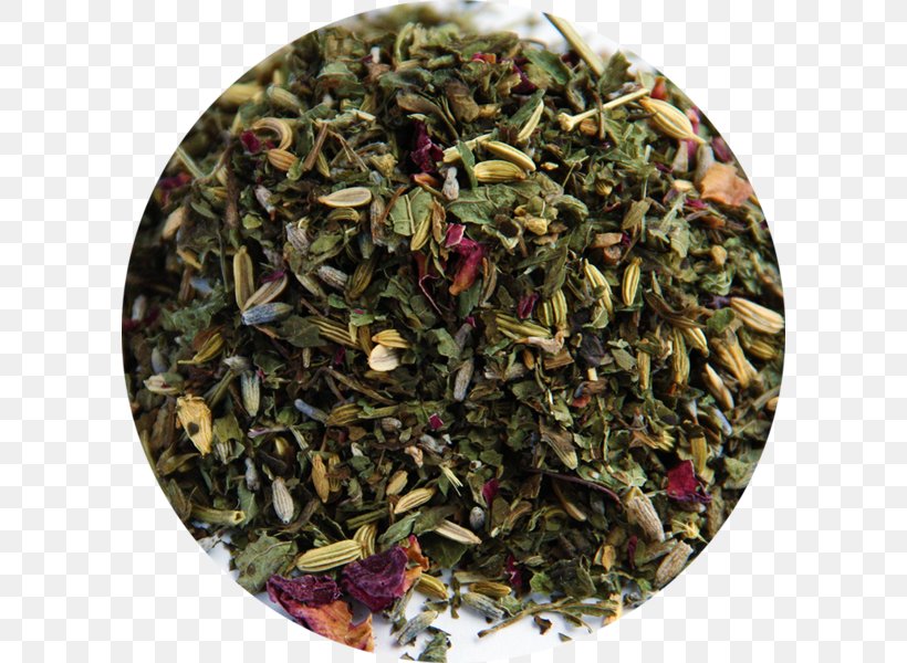 Nilgiri Tea Sencha Superfood Mixture Tea Plant, PNG, 600x600px, Nilgiri Tea, Assam Tea, Ceylon Tea, Darjeeling Tea, Dianhong Download Free