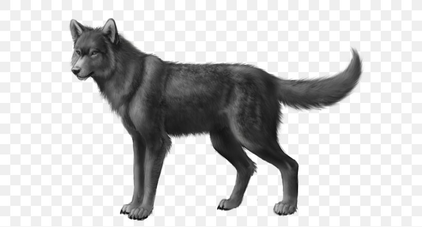 Wolfdog Black Wolf African Wild Dog Northern Rocky Mountain Wolf, PNG, 704x441px, Dog, African Wild Dog, Animal, Arctic Wolf, Black And White Download Free
