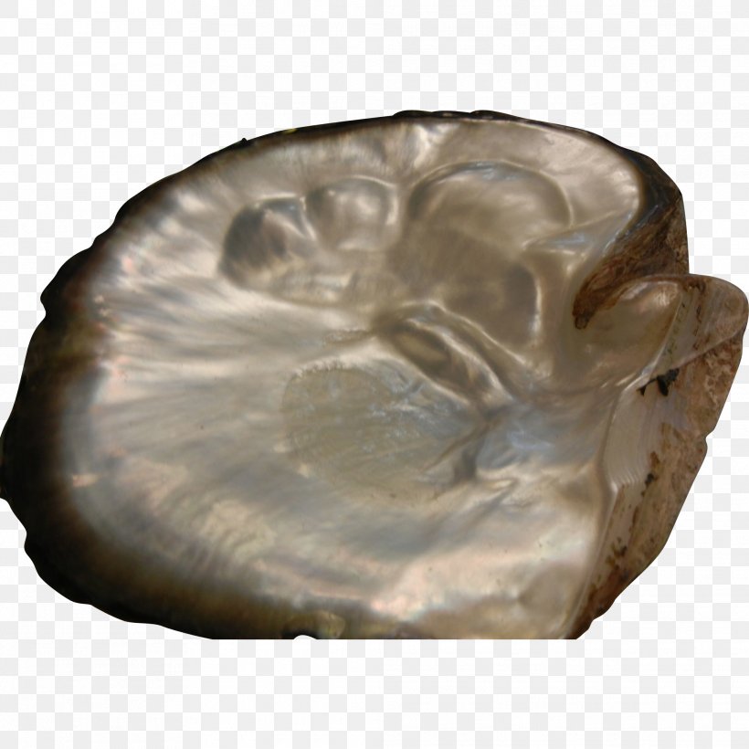 Fossil Group, PNG, 2025x2025px, Fossil Group, Artifact, Fossil, Rock Download Free