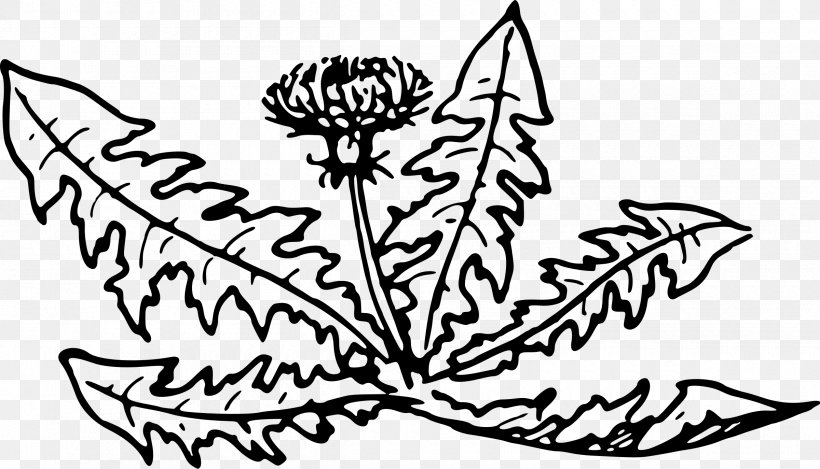 Line Art Dandelion Plant Flower Clip Art, PNG, 2400x1374px, Line Art, Artwork, Black, Black And White, Coloring Book Download Free