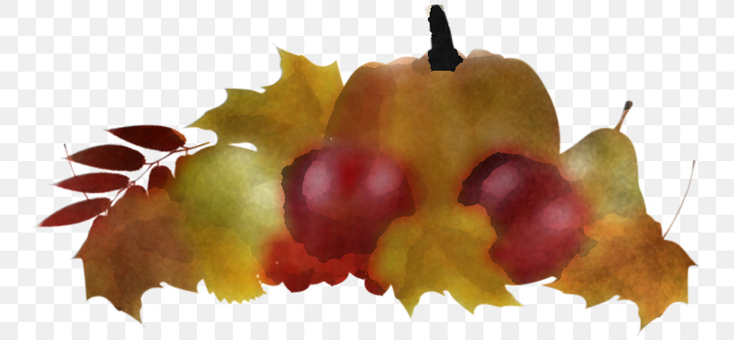 Plane, PNG, 780x380px, Leaf, Accessory Fruit, Autumn, Berry, Fruit Download Free