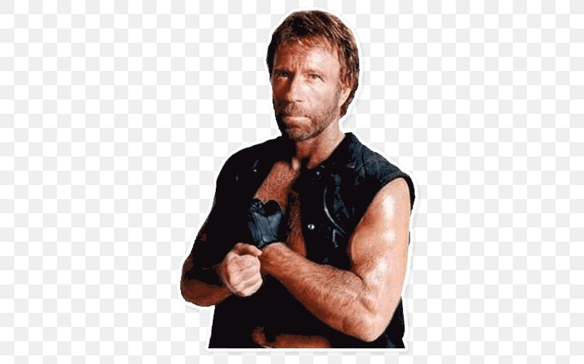 Chuck Norris Facts Martial Arts Chun Kuk Do, PNG, 512x512px, Watercolor, Cartoon, Flower, Frame, Heart Download Free