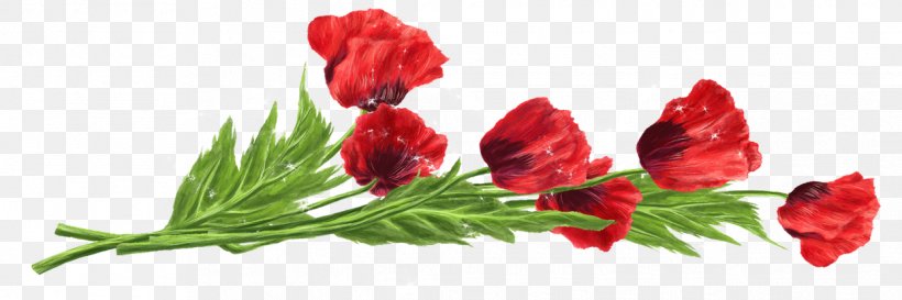 Flower Red Tulip Wallpaper, PNG, 1242x415px, Flower, Computer, Cut Flowers, Floral Design, Floristry Download Free