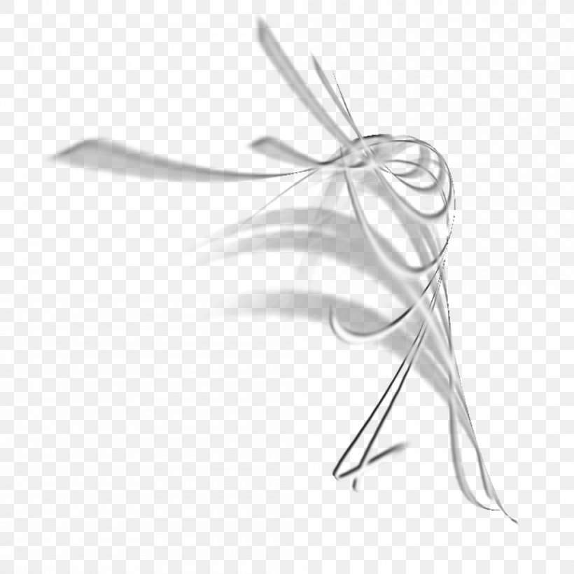 Insect White Line Art, PNG, 1000x1000px, Insect, Black And White, Drawing, Invertebrate, Line Art Download Free