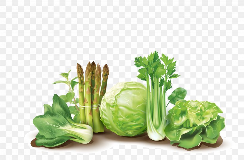 Leaf Vegetable Fruit Bioline Laboratory, PNG, 2821x1844px, Vegetable, Bioline Laboratory, Broccoli, Chinese Cabbage, Cruciferous Vegetables Download Free