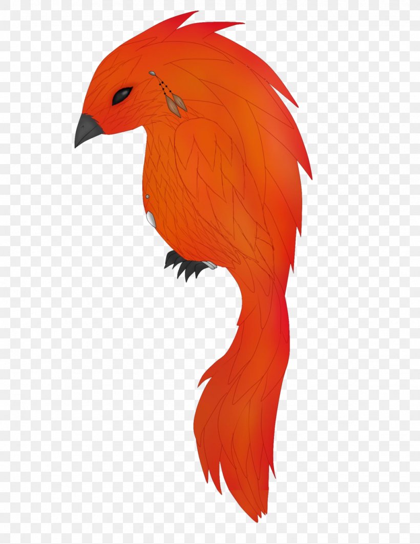 Parrot Bird Beak Feather, PNG, 1024x1325px, Parrot, Art, Beak, Bird, Chicken Download Free