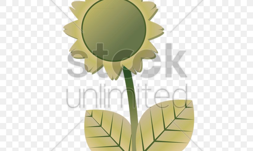 Product Design Graphics Illustration Sunflower M, PNG, 800x491px, Sunflower M, Flower, Flowering Plant, Leaf, Plant Download Free