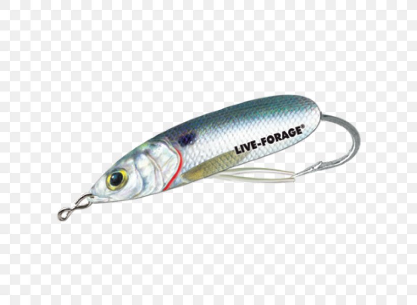 Spoon Lure Sardine Oily Fish AC Power Plugs And Sockets, PNG, 600x600px, Spoon Lure, Ac Power Plugs And Sockets, Bait, Fish, Fishing Bait Download Free