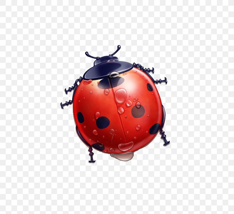 Cartoon Pixel Icon, PNG, 750x750px, Ladybird, Beetle, Computer Graphics, Insect, Invertebrate Download Free