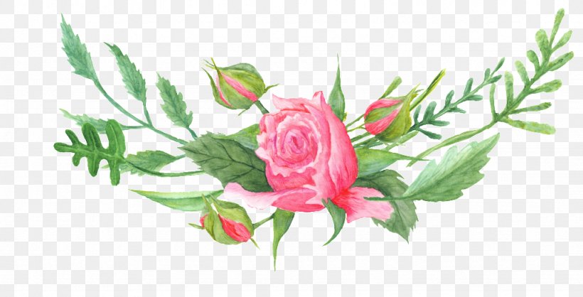 Garden Roses Cabbage Rose Floral Design Cut Flowers, PNG, 1024x523px, Garden Roses, Anthurium, Artificial Flower, Botany, Bud Download Free
