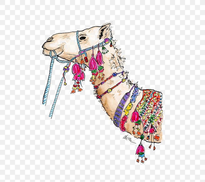 Camel White Box Drawing Illustration, PNG, 564x729px, Dromedary, Art, Camel, Cartoon, Costume Design Download Free