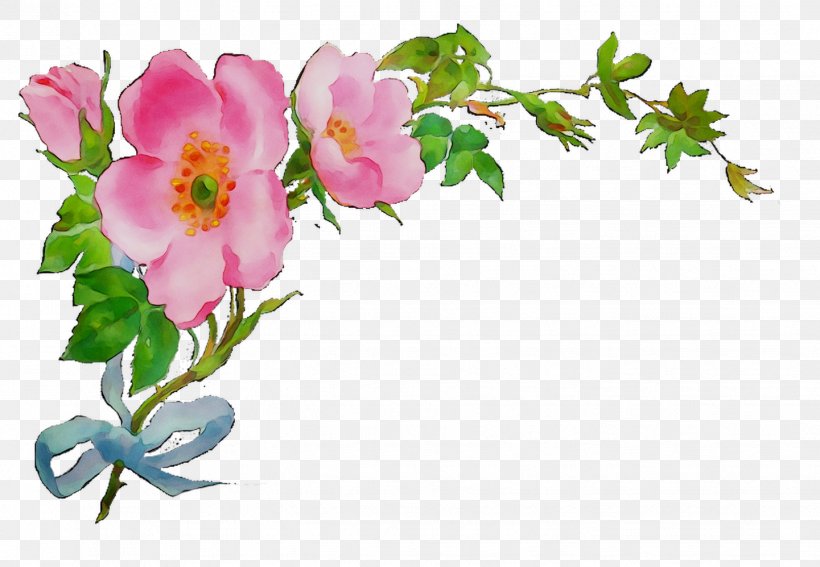 Garden Roses Flower Floral Design Sri Lanka Photography, PNG, 1441x998px, Garden Roses, Botany, Branch, Cut Flowers, Floral Design Download Free