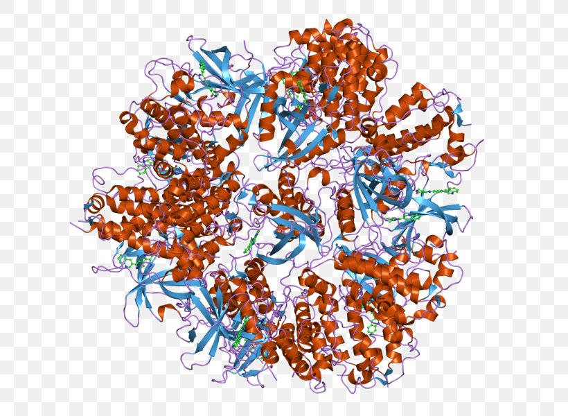 MAPKAPK2 Mitogen-activated Protein Kinase, PNG, 800x600px, Mapkapk2, Art, Chemistry, Enzyme, Kinase Download Free