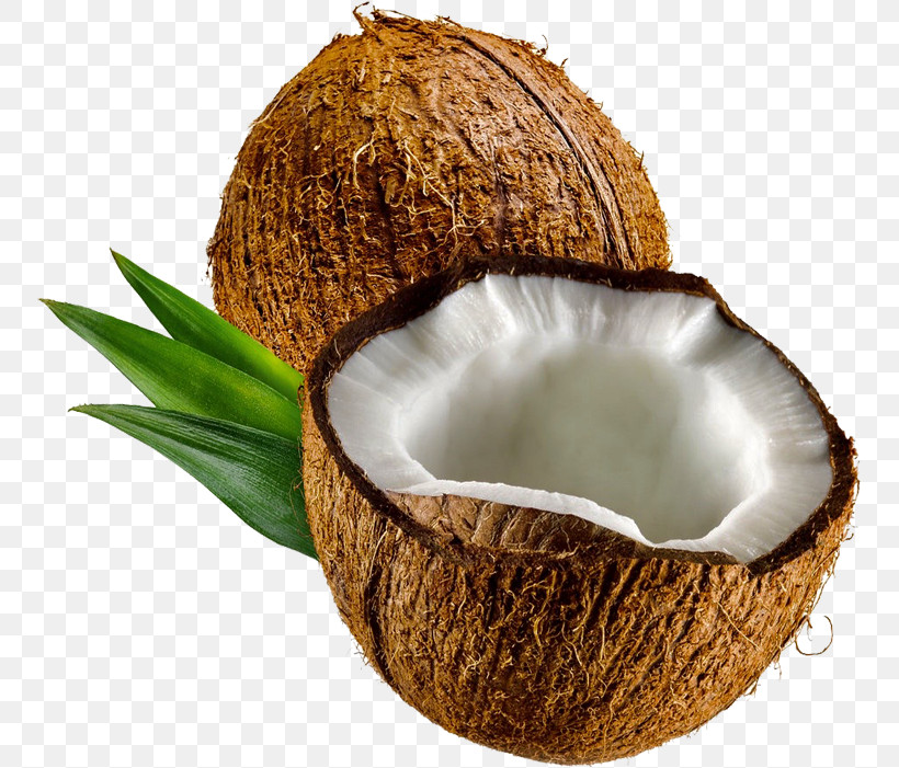 Palm Tree, PNG, 751x701px, Coconut, Arecales, Attalea Speciosa, Coconut Water, Palm Tree Download Free