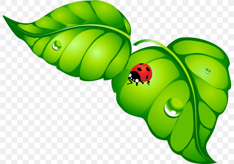 Butterfly Ladybird Beetle Insect Clip Art, PNG, 800x574px, Butterfly, Animal, Aphid, Fruit, Idea Download Free