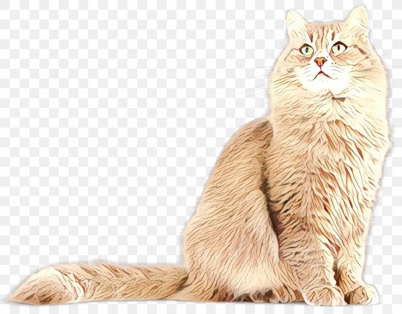 Persian Cat Asian Semi-longhair Nebelung European Shorthair Malayan Cat, PNG, 1500x1172px, Persian Cat, American Bobtail, American Curl, American Wirehair, Asian Download Free