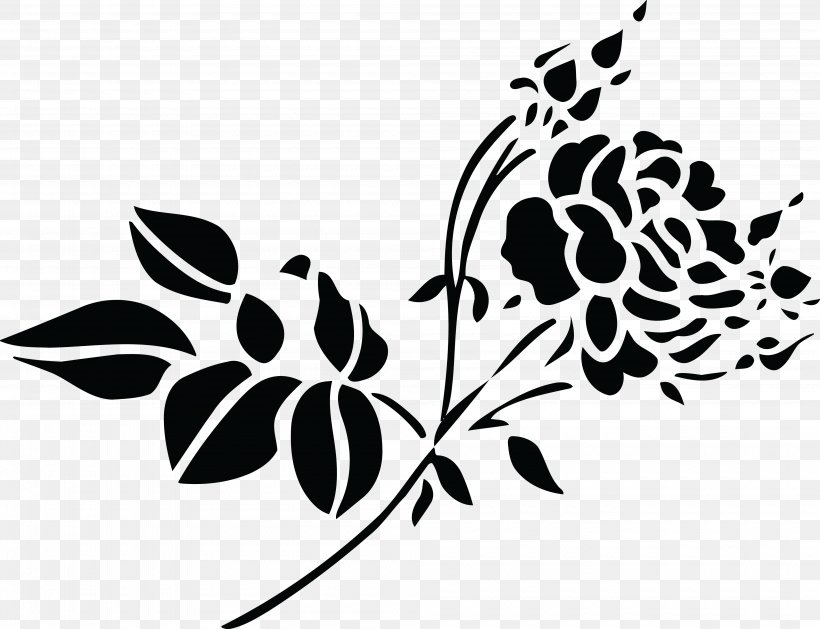 White Rose Clip Art, PNG, 4000x3071px, White, Black, Black And White, Branch, Color Download Free