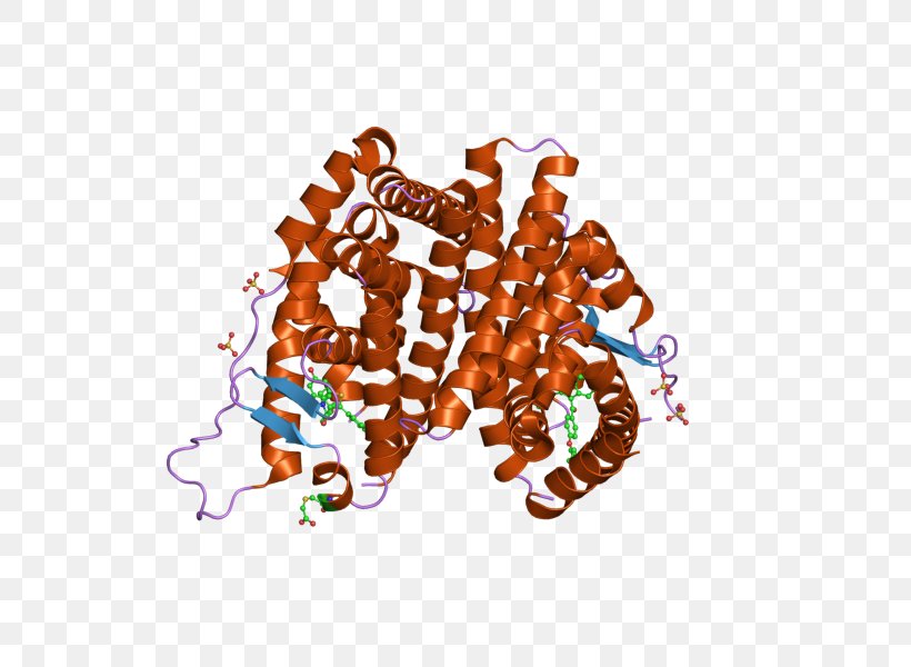 Estrogen Receptor Alpha Nuclear Receptor DNA-binding Domain, PNG, 800x600px, Estrogen Receptor, Dnabinding Domain, Dnabinding Protein, Estrogen, Estrogen Receptor Alpha Download Free