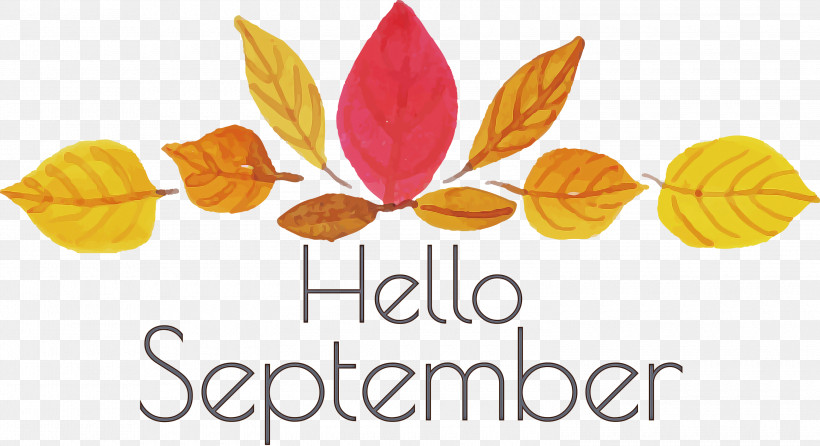 Hello September September, PNG, 3000x1633px, Hello September, Biology, Fruit, Leaf, Line Download Free