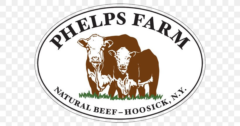 Hereford Cattle Bull Ox Beef Meat, PNG, 600x433px, Hereford Cattle, American Hereford Association, Area, Beef, Brand Download Free